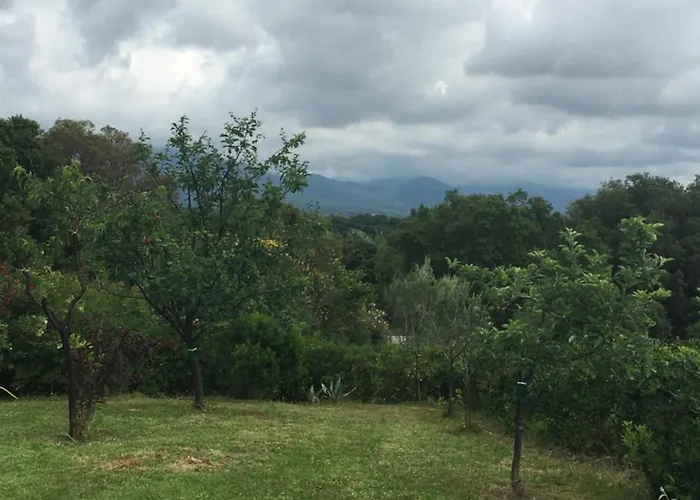 Maison Hébergement de vacances *